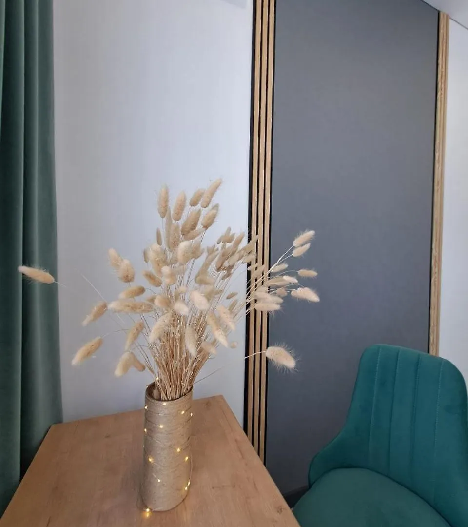 Stylish Apartment Mega Almati